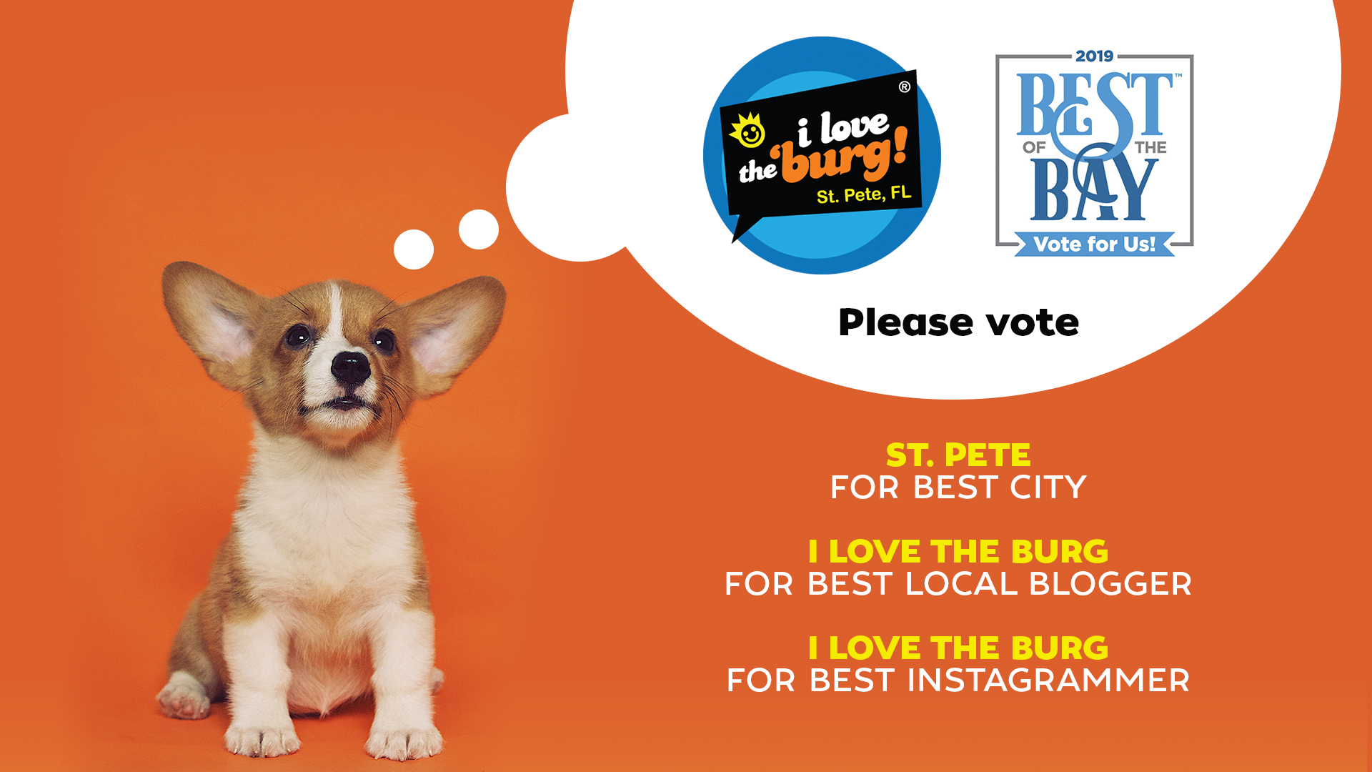 A corgi puppy on an orange background asking you to please vote for us