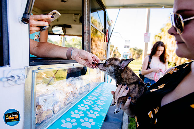 Small dog gets fed a little snack from Fido's Food Truck