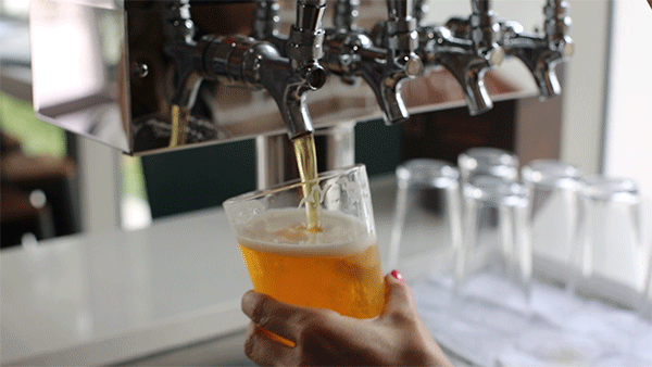 A beer poured into a glass