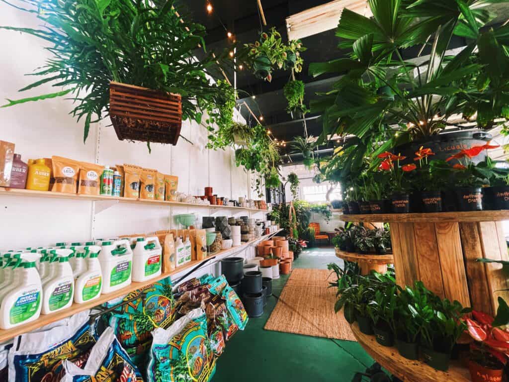 interior of Lida's jungle with walls of plant supplies and plants everywhere