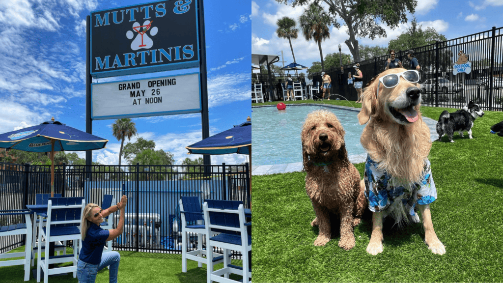 Owners and dogs at Mutts & Martinis